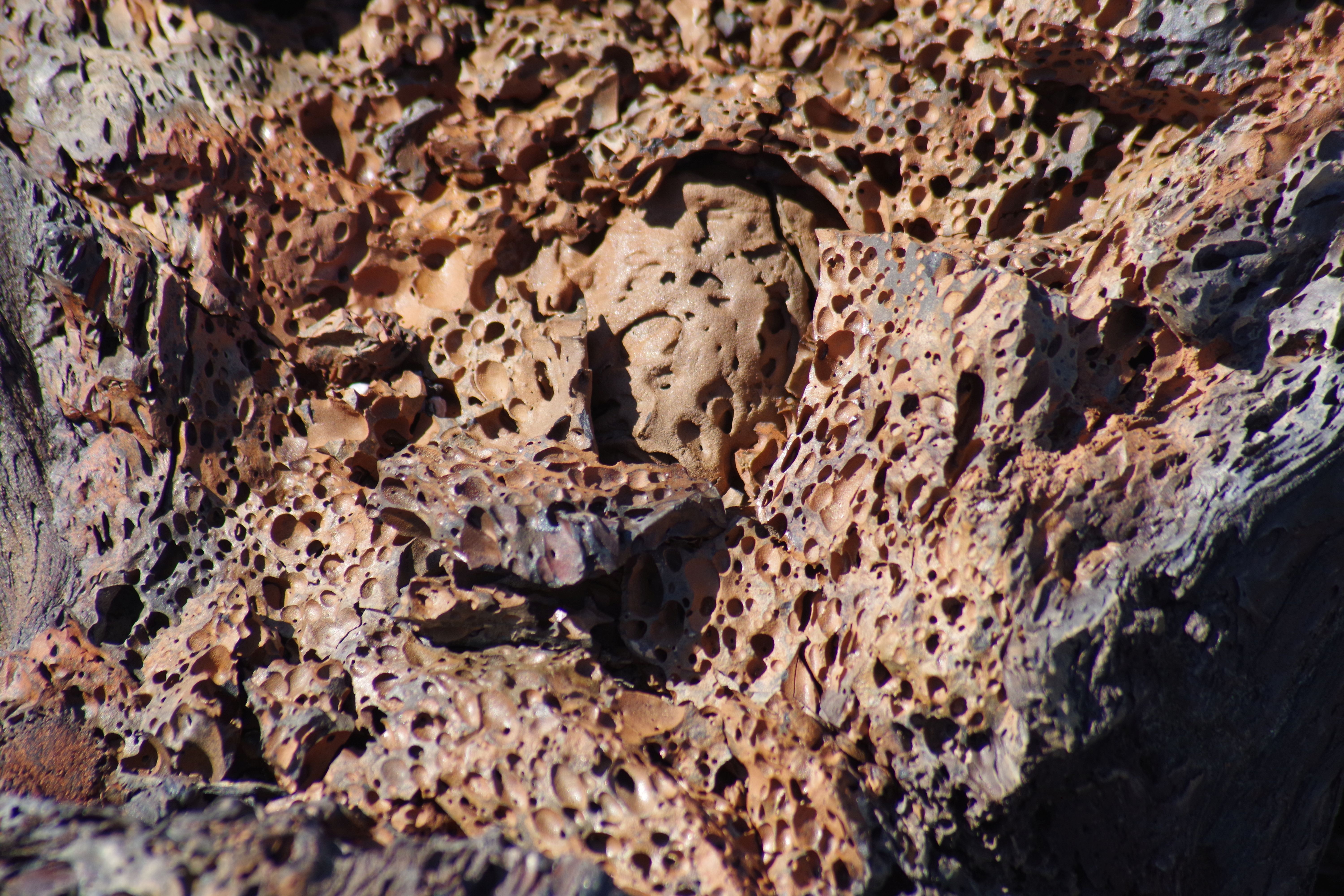 IMGP0774